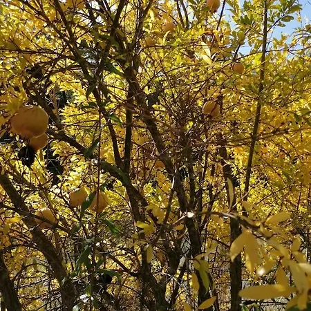 La Casirria Vakantiehuis Olba